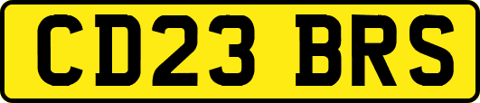CD23BRS