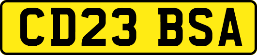 CD23BSA