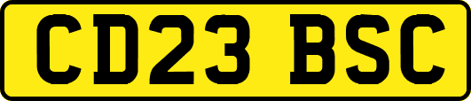 CD23BSC