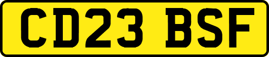 CD23BSF