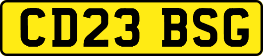 CD23BSG