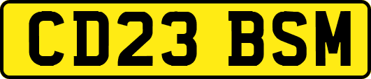 CD23BSM