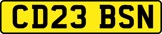CD23BSN