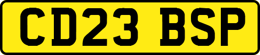 CD23BSP