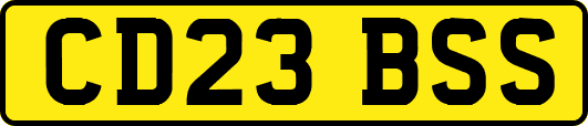 CD23BSS