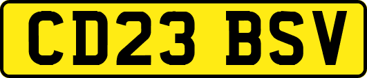 CD23BSV