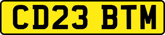 CD23BTM