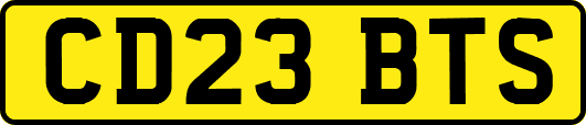 CD23BTS