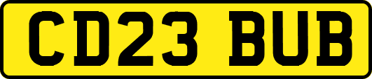 CD23BUB