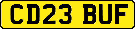 CD23BUF