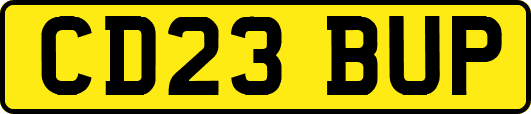 CD23BUP