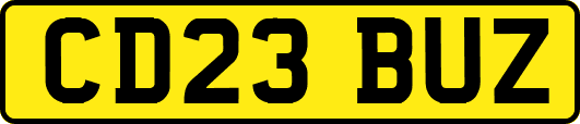 CD23BUZ