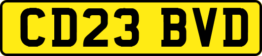 CD23BVD