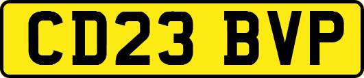 CD23BVP