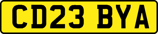 CD23BYA
