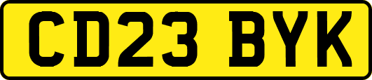 CD23BYK