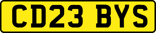CD23BYS
