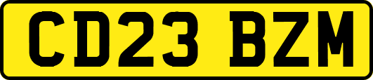 CD23BZM