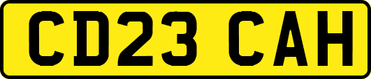 CD23CAH