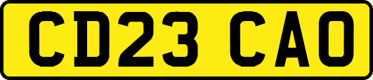 CD23CAO