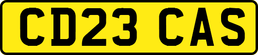 CD23CAS