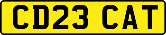 CD23CAT