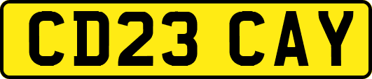 CD23CAY