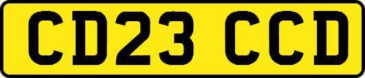CD23CCD