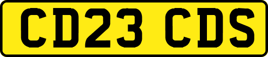 CD23CDS