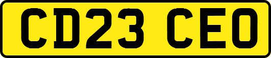 CD23CEO