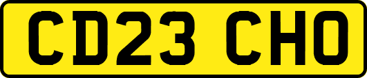 CD23CHO