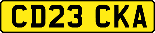 CD23CKA