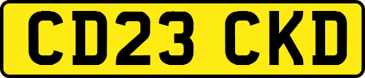 CD23CKD