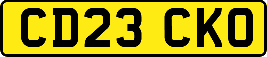 CD23CKO