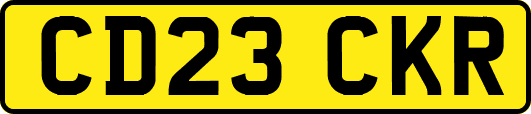 CD23CKR