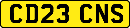 CD23CNS