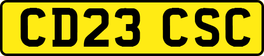 CD23CSC