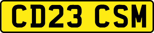 CD23CSM