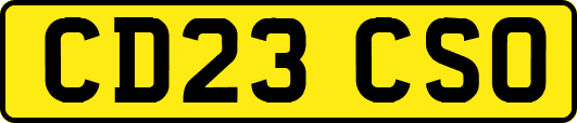 CD23CSO