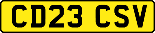 CD23CSV