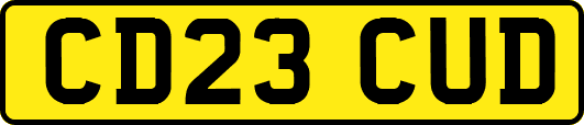 CD23CUD