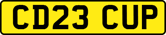 CD23CUP