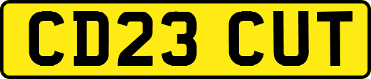 CD23CUT