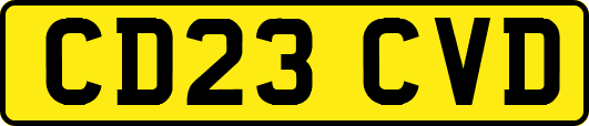 CD23CVD