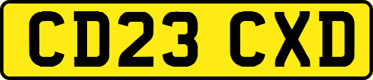 CD23CXD