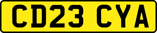 CD23CYA
