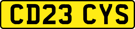 CD23CYS