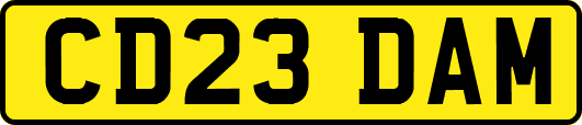 CD23DAM