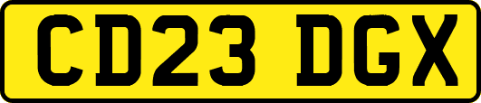 CD23DGX