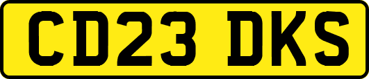 CD23DKS
